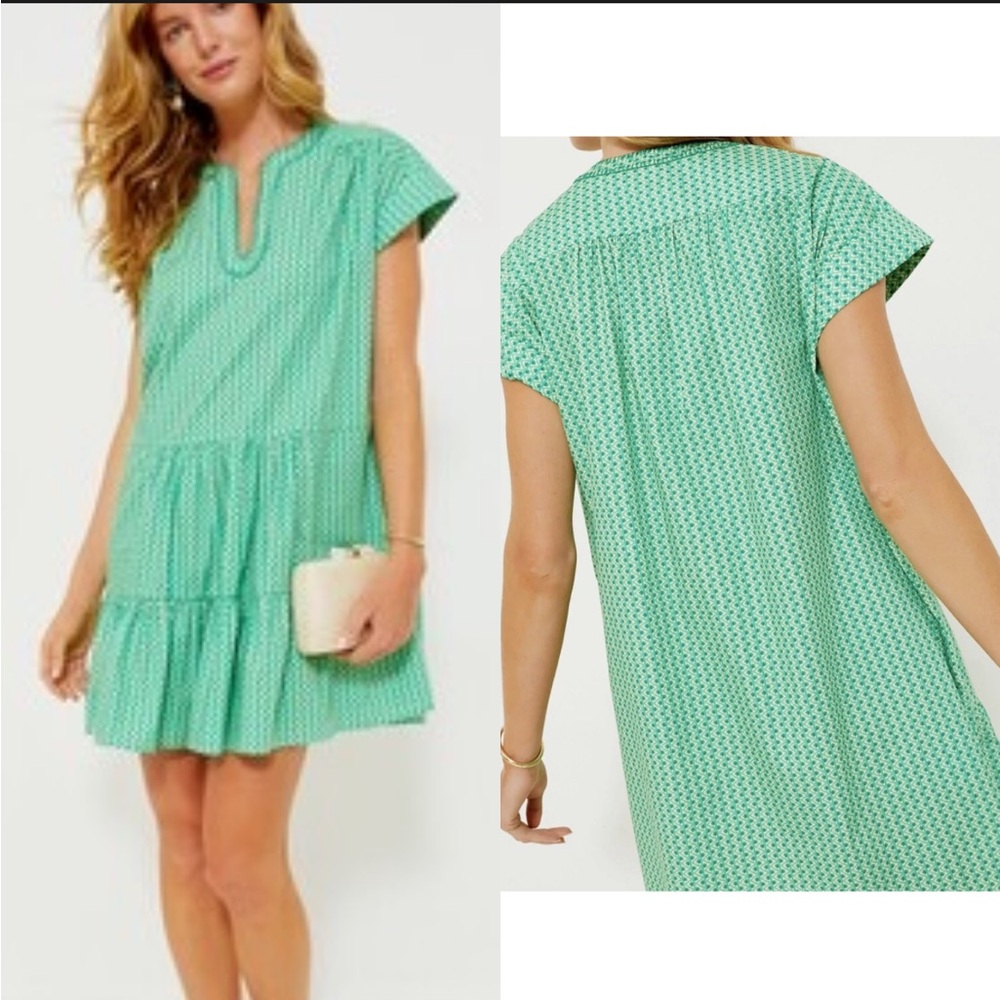 SALONI “Ashley-B” Cotton Poplin Dress
